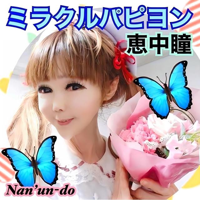 ミラクルパピヨン ジャケット